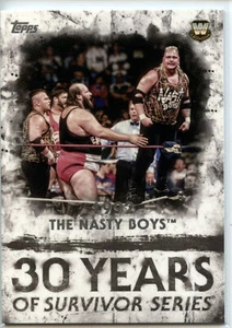2018 Topps WWE Undisputed 30 Years of Survivor Series #SS-6 The Nasty Boys - Picture 1 of 2