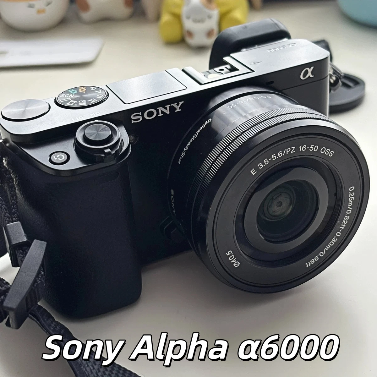 ☆ショット24162回☆ SONY α6000 E 16-50mm ＃384 ☆ショット24162回