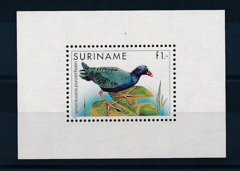 [SU472] Suriname Surinam 1985 Birds Souvenir Sheet MNH Cover