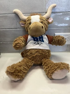Plushology Nascar Dale Earnhardt JR. #88 Stuffed Plush Long Horn 16 in pre-owned - Picture 1 of 6