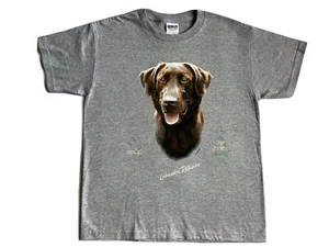 Chocolate Labrador Retriever Graphic on Gray T-Shirt Child Medium 100% Cotton - Picture 1 of 3