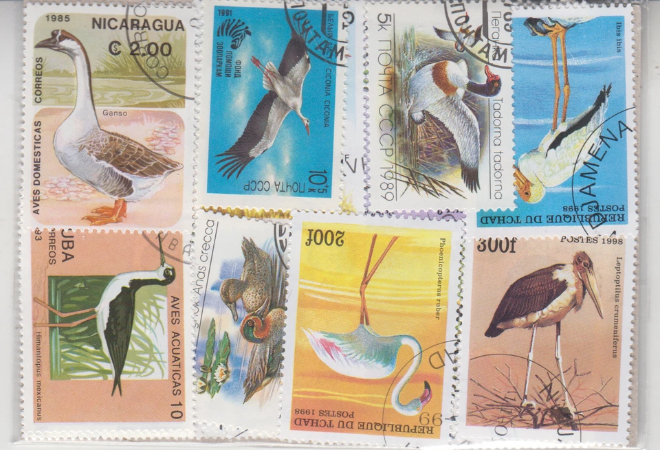 WATER BIRDS - 50 DIFFERENT TOPICS STAMPS!!! FREE SHIPPING - Image 1 of 1