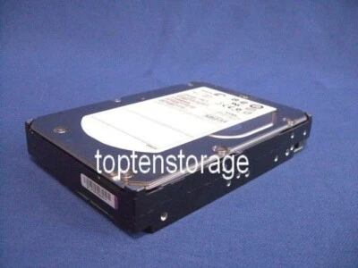 Seagate ST3300655SS 300GB 3,5" LFF 15K SAS Festplatte - Bild 1 von 4