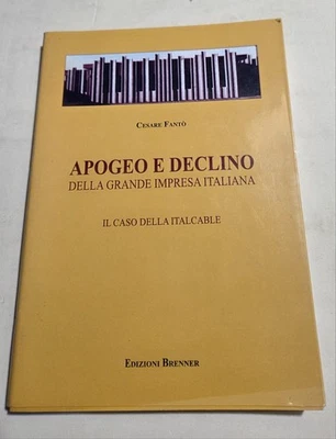 Apogeo e declino della grande impresa italiana - Il caso Italcable - Immagine 1 di 3