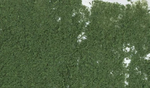 Escenas de bosques - follaje - verde oscuro - Imagen 1 de 3