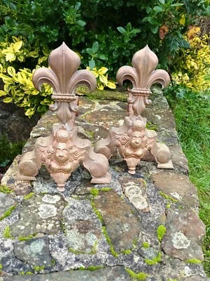 Fleur de lys et tête paire de chenets bronze et fer - Photo 1/4