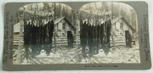 RESULT OF THE CHASE HANGING DEER CABIN HUNTER STEREOVIEW - Picture 1 of 2