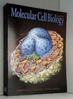 Molecular Cell Biology by Baltimore, David Paperback Book The Cheap Fast Free