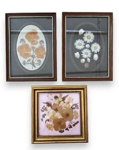 Marco de fotos de flores prensadas de Cornualles de colección paquete x 3 ideas de pared decoración - Imagen 1 de 16