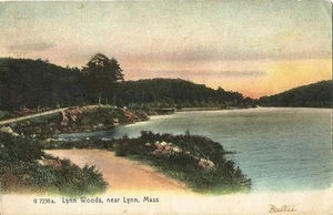 Postcard MA Massachusetts Lynn Woods Essex County 1908 Printed in Germany - Picture 1 of 1