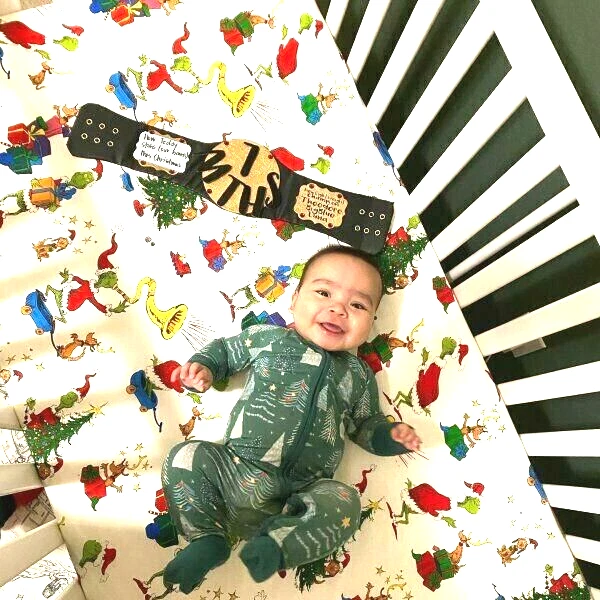 Disney Pottery Barn GRINCH CRIB TODDLER bed SHEET holiday Christmas gift Seuss - - Image 1 of 4