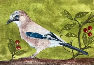 Original Watercolour Jay Painting ACEO - Picture 1 of 4