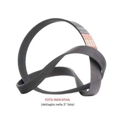 4PK545 CINGHIA SERVIZI ALTERNATORE POLY-V FIAT SEICENTO CINQUECENTO 1.1 CON A/C - Immagine 1 di 2