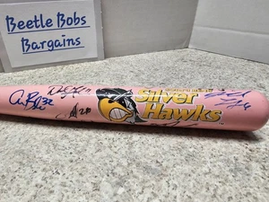 South Bend Silver Hawks MiLB Diamondbacks MLB 2013 18 X's handsigniert... - Bild 1 von 11