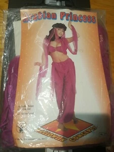 ARABIAN PRINCESS Rubies adult STD 50 % OFF. FINAL SALE - Picture 1 of 1