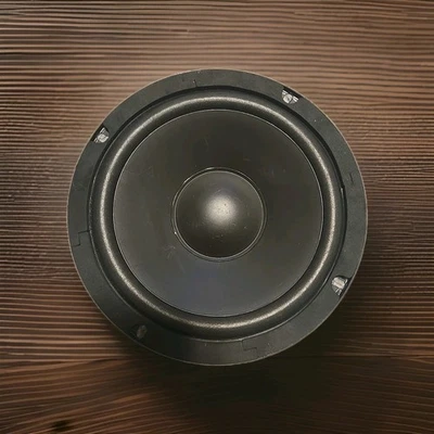 Subwoofer Jenson JS800 8" vintage 1983 ¡SUB COMO NUEVO! Foto 1 de 4