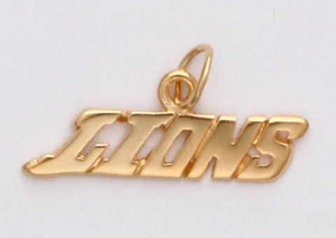 DETROIT LIONS Team Name Necklace Pendant Charm  24k Gold Plated  Fan Jewelry NFL Cover