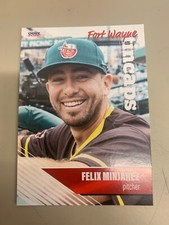 2022 Felix Minjarez Fort Wayne Tin Caps Team Card