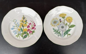 2 Bareuther Waldsassen Bavaria Germany 8” Dessert Plates 132 Floral Wildflowers - Picture 1 of 5