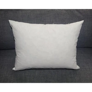 NWOT|Ralph Lauren Down Fill Rectangular Decorative Throw Pillow Insert - Picture 1 of 5