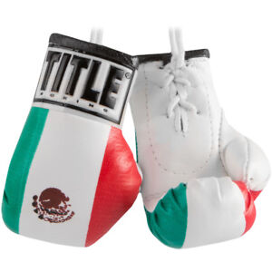 Title Boxing 3.5" Authentic Detailed Mini Lace Up Gloves