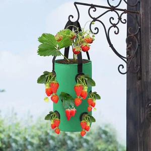 Plants Grow Bag Tomato Strawberry Hanging Planter Flower Pouch Trailing Grow Bag - Picture 1 of 15