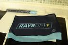 Tampa Bay RAYS UP car window flag new