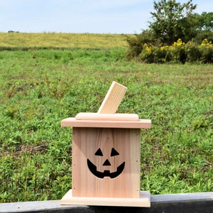 Halloween Jack-O-Lantern - Red Cedar - Flickering LED Tea Light w/ Timer - 2B-2 - Picture 1 of 4