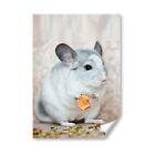 A5 - Cute White Chinchilla Pet Rodent Print 14.8x21cm 280gsm #44814