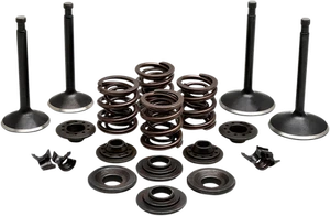 Kibblewhite Complete Valve Kit #20-22350 - Picture 1 of 1