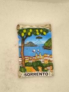 MAGNET MAGNET RESIN FRIDGE SOUVENIR FRIDGE MAGNET SORRENTO CAMPANIA - Picture 1 of 1