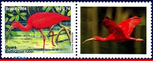 2921a BRAZIL 2004 MANED, BIRDS, RHM C-2564, MNH - Picture 1 of 2