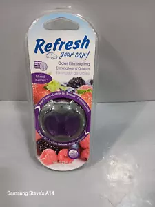 REFRESH YOUR CAR ODOR ELIMINATING - Picture 1 of 2
