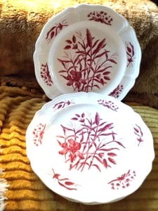 4 piatti Wedgwood Williamsburg collaborazione IRIS 10,5 pollici 1989 vintage - Foto 1 di 3