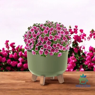 Pflanzschale Schale für Solarbrunnen Blumentopf Schale mit Füßen Grabschale - Bild 1 von 4