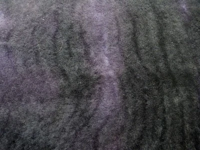 Piel de oveja merino piel de oveja piel moteada púrpura medianoche felpa pelo corto Foto 1 de 4