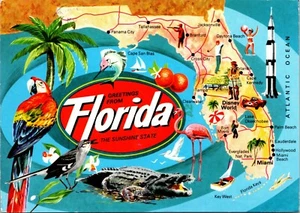 Saludos desde Florida mapa postal transbordador espacial loro naranjas flamingo 1991 - Imagen 1 de 2