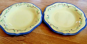 2  Pfaltzgraff The Secrets of Pistoulet 9-1/4” Salad Plates Jana Kolpen  Stonewa - Picture 1 of 4