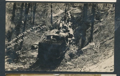 Taking logs to the mill, No. Cal. Lumber Co, Hilt logging train rppc real photo - Image 1 of 2