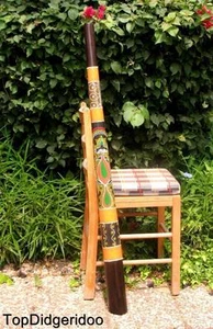 47"\120cm DIDGERIDOO + Tasche + Bienenwachs Mundstück * Teakholz Kunstwerk Dot-Paint EIDECHSE - Bild 1 von 8