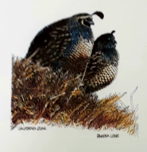blank note card 'California Quail' by Ramona Lowe print small envelope 3.5" x 5" - Picture 1 of 3