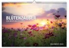 Blütenzauber Premiumkalender 12 bezaubernde Blütenmotive 2024 Weltbild B-WARE