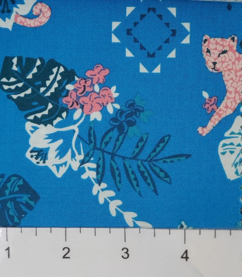 Zafiro exuberante guepardo Foto 1 de 1