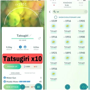 Pokemon G0 | Tatsugiri x10 - Forma elástica Tatsugiri | Mini P T C 100K Stardust - Imagen 1 de 1