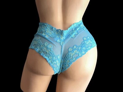 Fredericks of Hollywood Blue Lace Sheer Nylon Embroidery Boyshort Panties L - Image 1 of 4