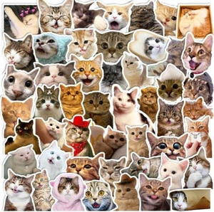 100 Pcs Cute Cat Stickers for Kids, Waterproof for Kids,Vinyl for Water Bottle - Photo 1 sur 1