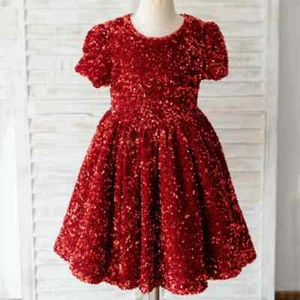 A-Line Sequin Flower Girl Dresses Short Sleeves O-Neck Baby Festival Party Gowns - Picture 1 of 7