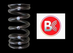 Brian Crower BC1700 Intake Valve Springs Kit for Audi VW 1.8T 20V 12pcs - Picture 1 of 3