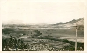 RPPC 1940 Pineapple fields Hawaii by Kodak of Hawaii - Picture 1 of 2