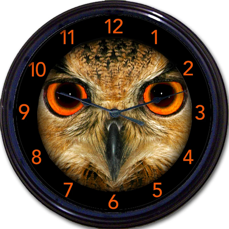 FUN AROUND THE CLOCK Owl Bird Orange Eyes Wall Clock Birds Owls Nocturnal Halloween New 10"